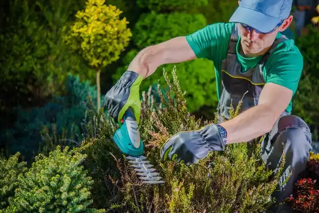 landscaping services West Falmouth